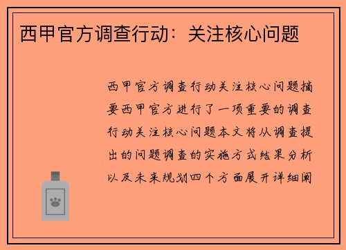 西甲官方调查行动:关注核心问题 西甲官方调查行动:关注核心问题
